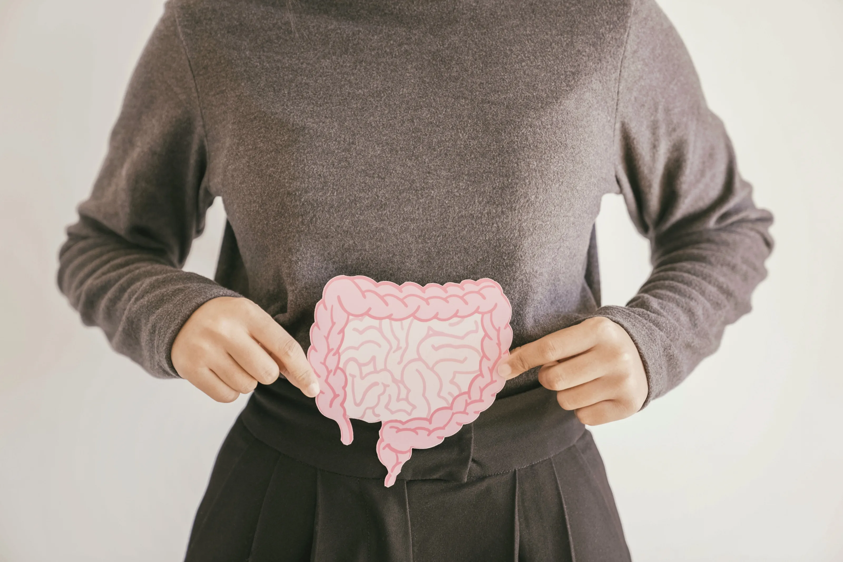 Eine Person hält ein Papiermodell des Darms vor den Bauch